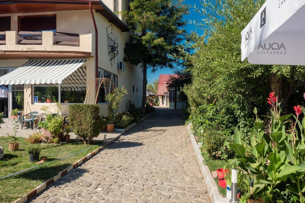 Pension Motanul Galanton Снагов Экстерьер фото